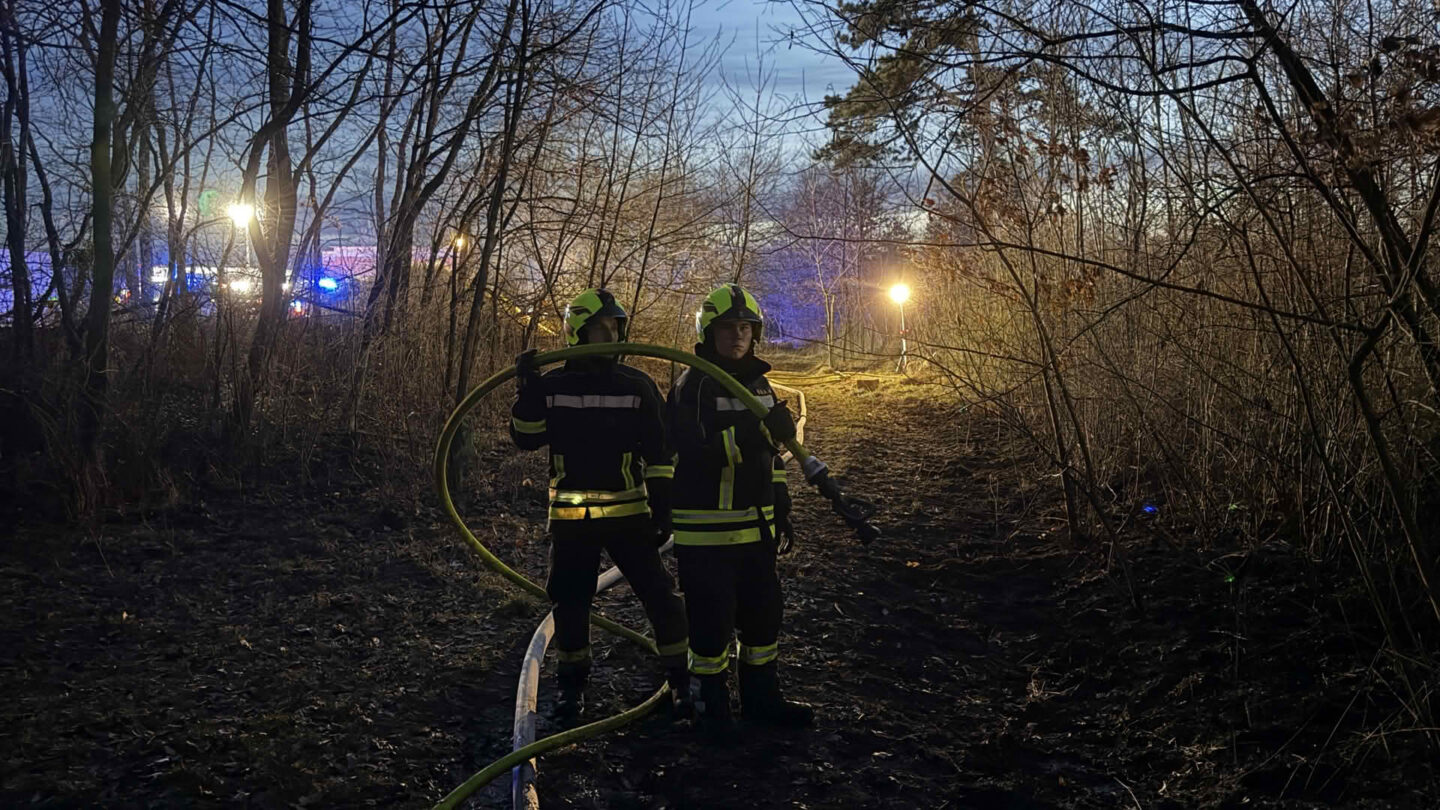 Ausgedehnter Waldbrand - FF Strasshof an der Nordbahn