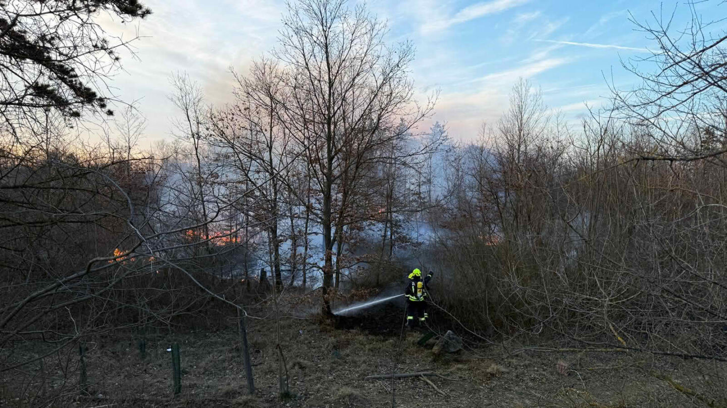Ausgedehnter Waldbrand - FF Strasshof an der Nordbahn