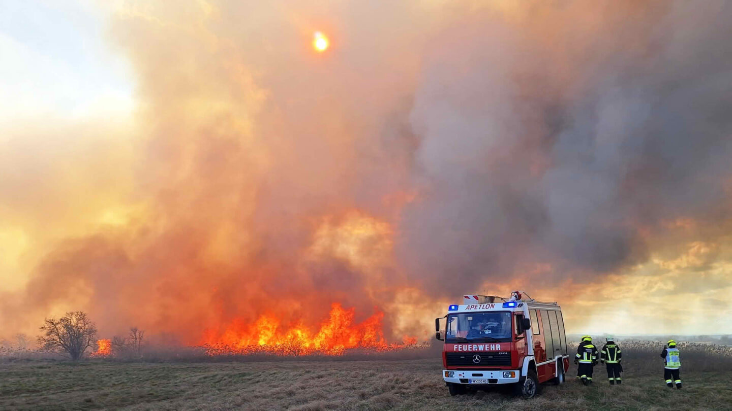 Schilf- und Flurbrand