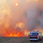 BFK Neusiedl am See: Schilf- und Flurbrand zwischen Illmitz und Podersdorf