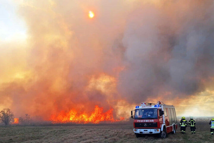 BFK Neusiedl am See: Schilf- und Flurbrand zwischen Illmitz und Podersdorf