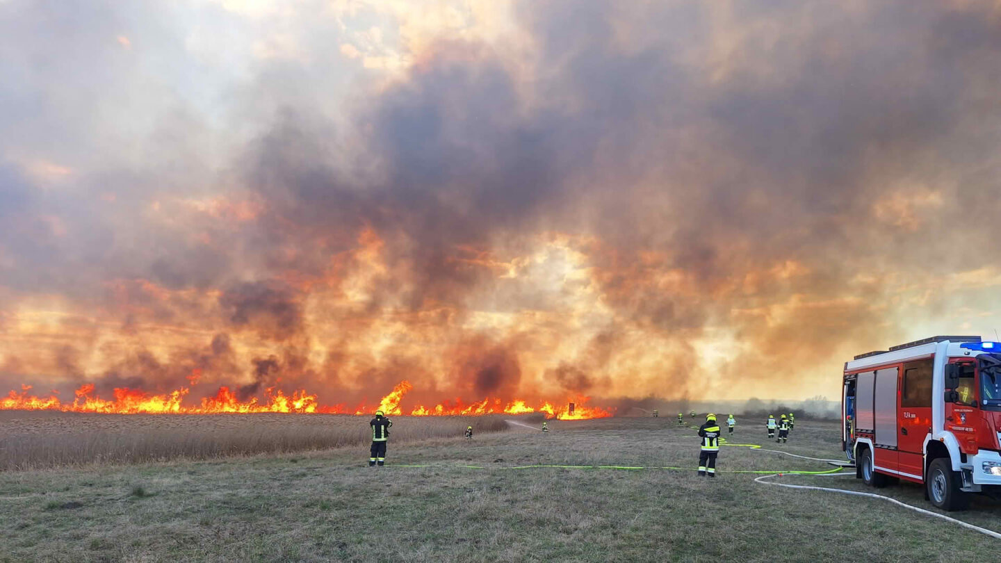 Schilf- und Flurbrand
