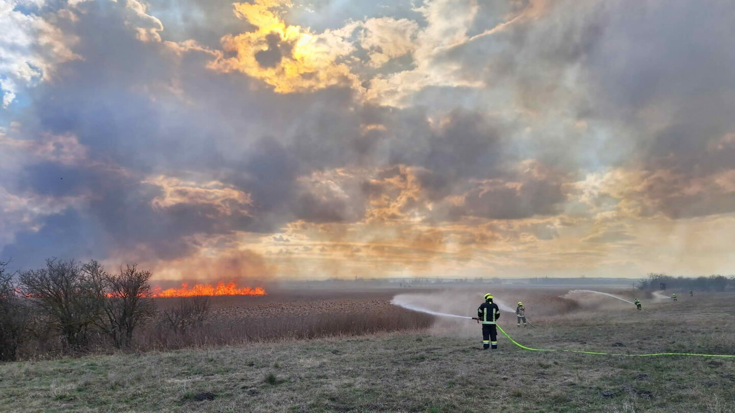 Schilf- und Flurbrand