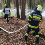 BFV Feldbach: Waldbrand in Hamet forderte Einsatz von 5 Feuerwehren