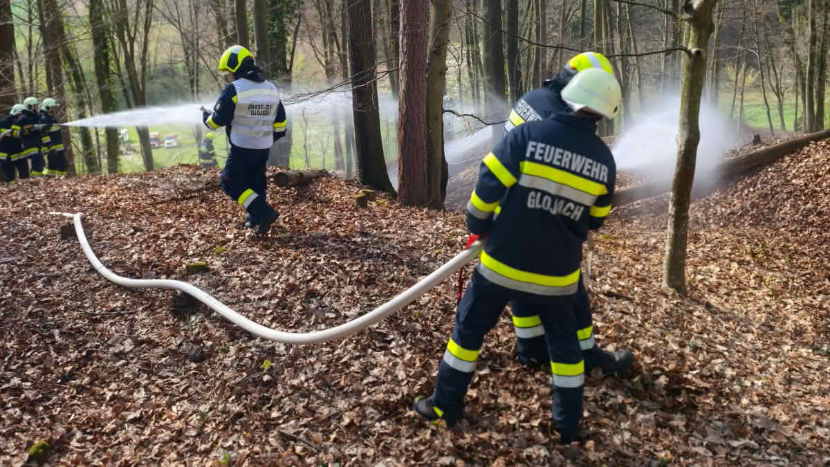 BFV Feldbach: Waldbrand in Hamet forderte Einsatz von 5 Feuerwehren