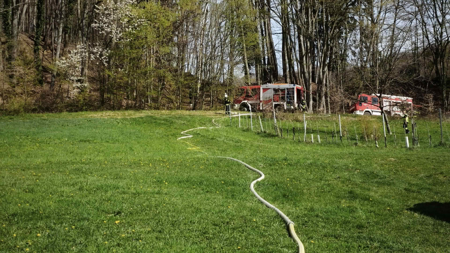 Waldbrand in Hamet