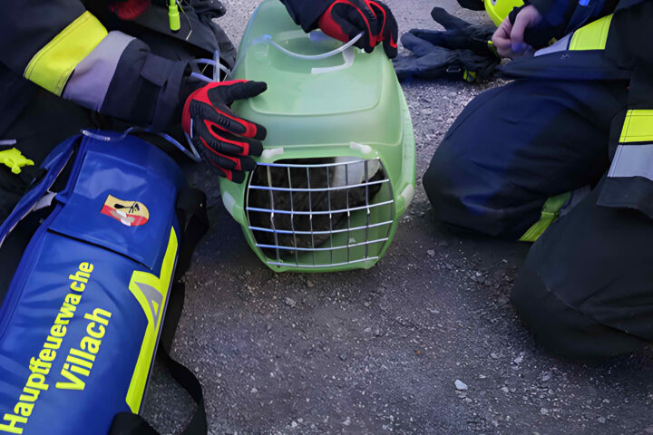 HFW Villach: Katzenrettung – Heimrauchmelder verhindert Schlimmeres