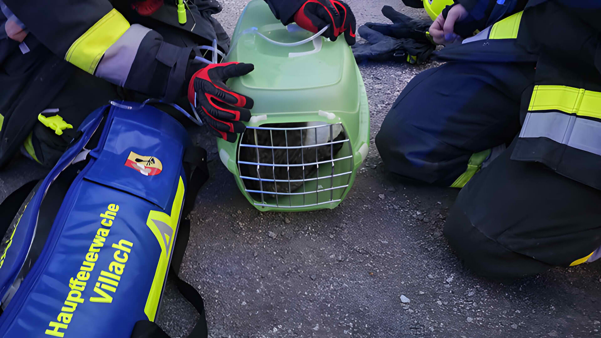 HFW Villach: Katzenrettung â Heimrauchmelder verhindert Schlimmeres