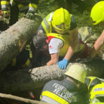 HFW Villach: Personenrettung nach Forstunfall