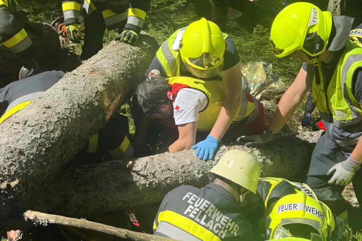 HFW Villach: Personenrettung nach Forstunfall