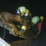 BFKDO Baden: Neugeborene Kälber aus Güllegrube gerettet