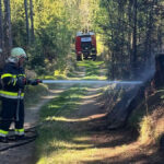 BFKDO Wiener Neustadt: Waldbrand in Krumbach