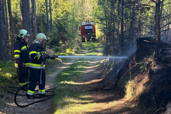 BFKDO Wiener Neustadt: Waldbrand in Krumbach