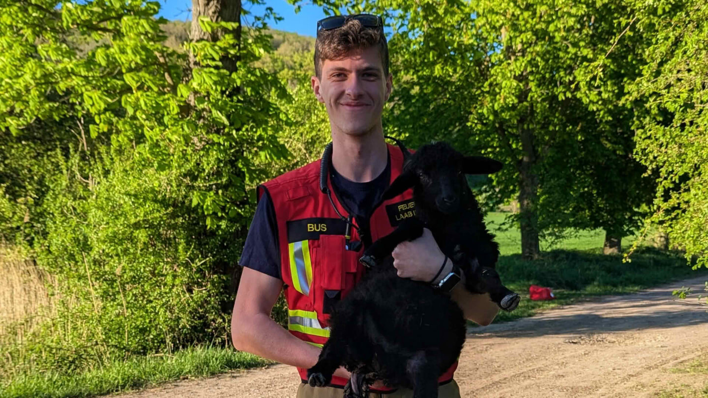 200 Schafe auf Abwegen