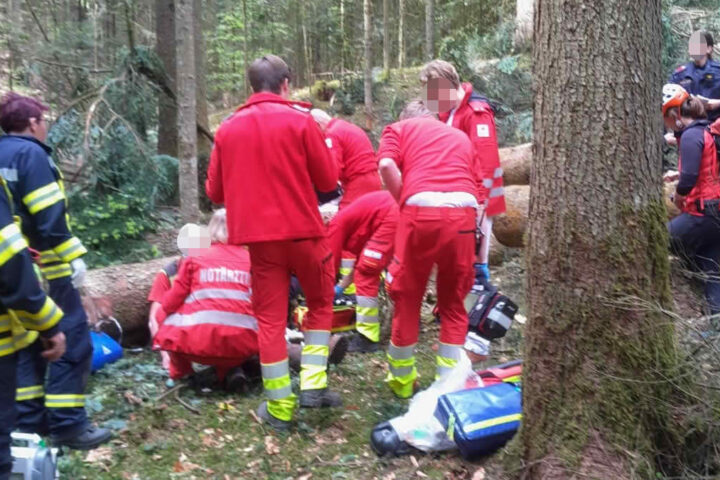 BFVDL: Forstunfall in Bad Gams