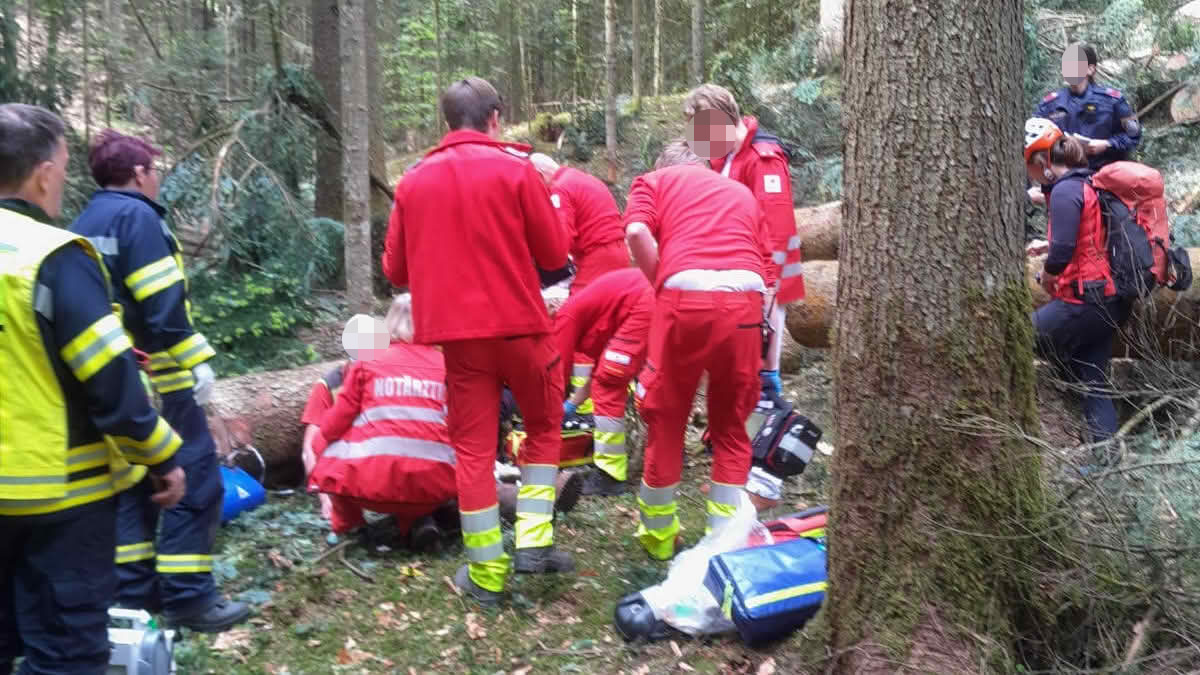 BFVDL: Forstunfall in Bad Gams