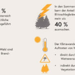 Totschnig zur Waldbrandgefahr: Jetzt ist Prävention entscheidend