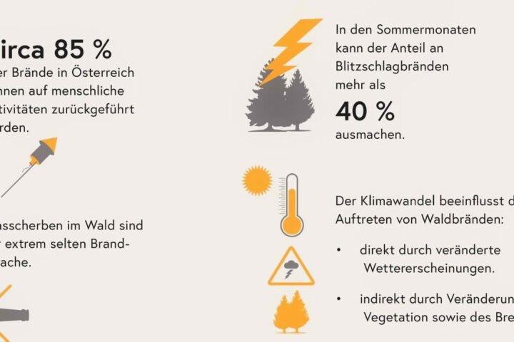 Totschnig zur Waldbrandgefahr: Jetzt ist Prävention entscheidend