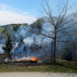 BFK Vöcklabruck: Großbrand in Christbaumplantage