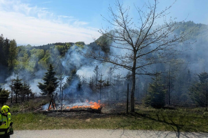 BFK Vöcklabruck: Großbrand in Christbaumplantage
