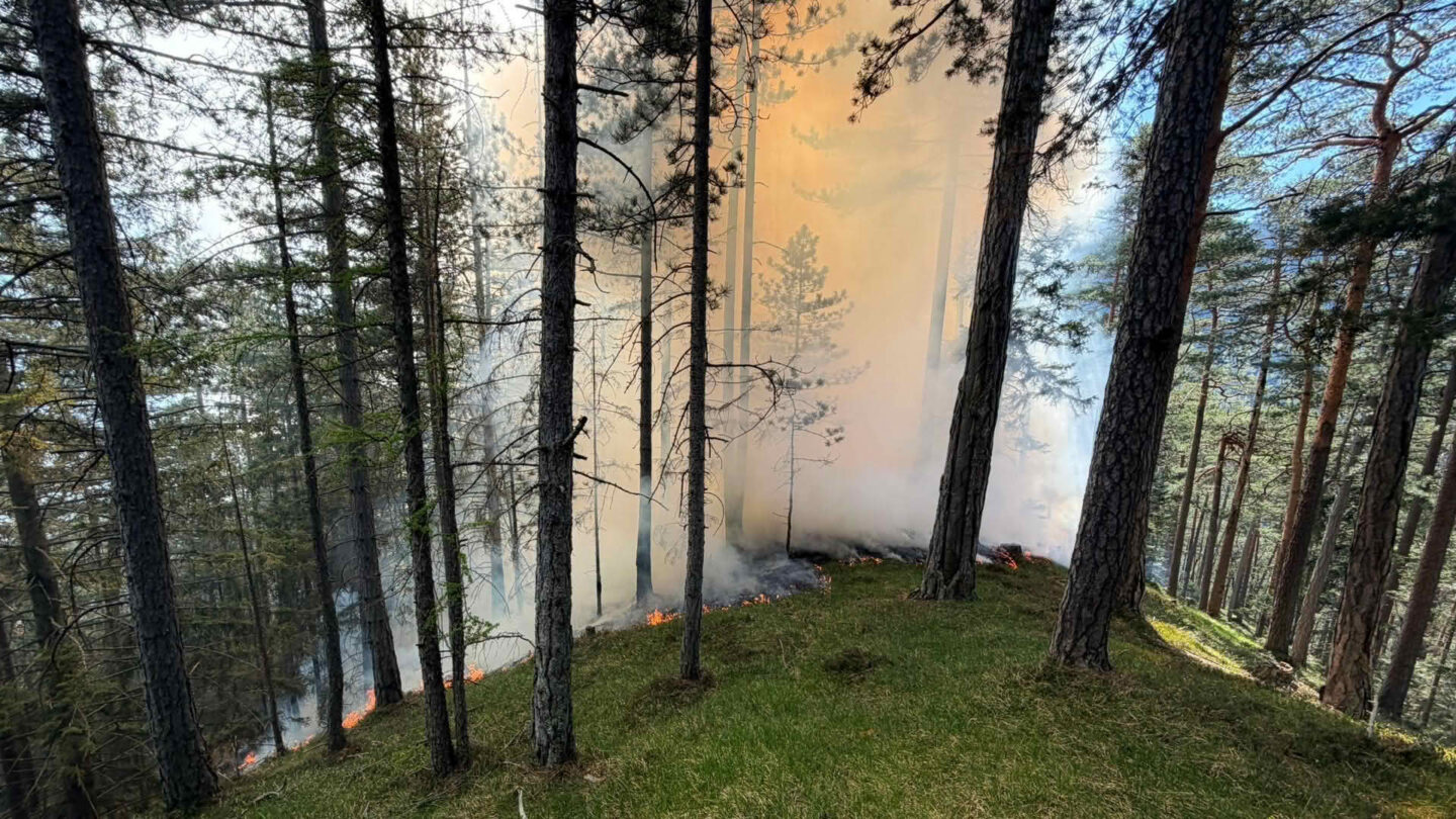 Waldbrand in Gutenstein