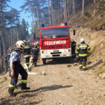 BFKDO Wiener Neustadt: Waldbrand in Gutenstein