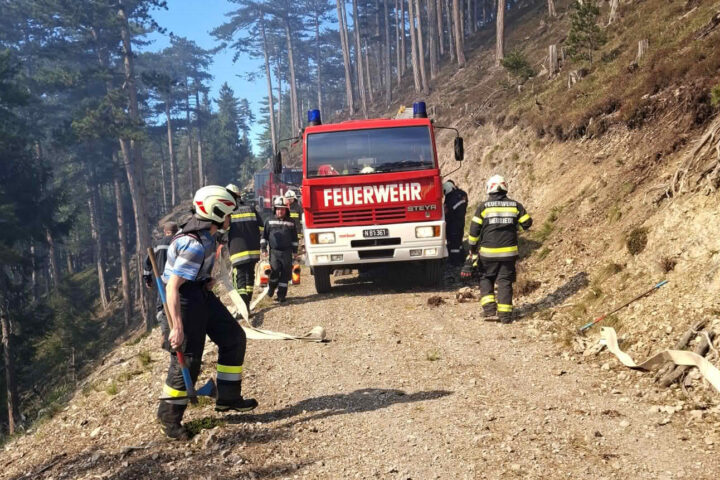 BFKDO Wiener Neustadt: Waldbrand in Gutenstein