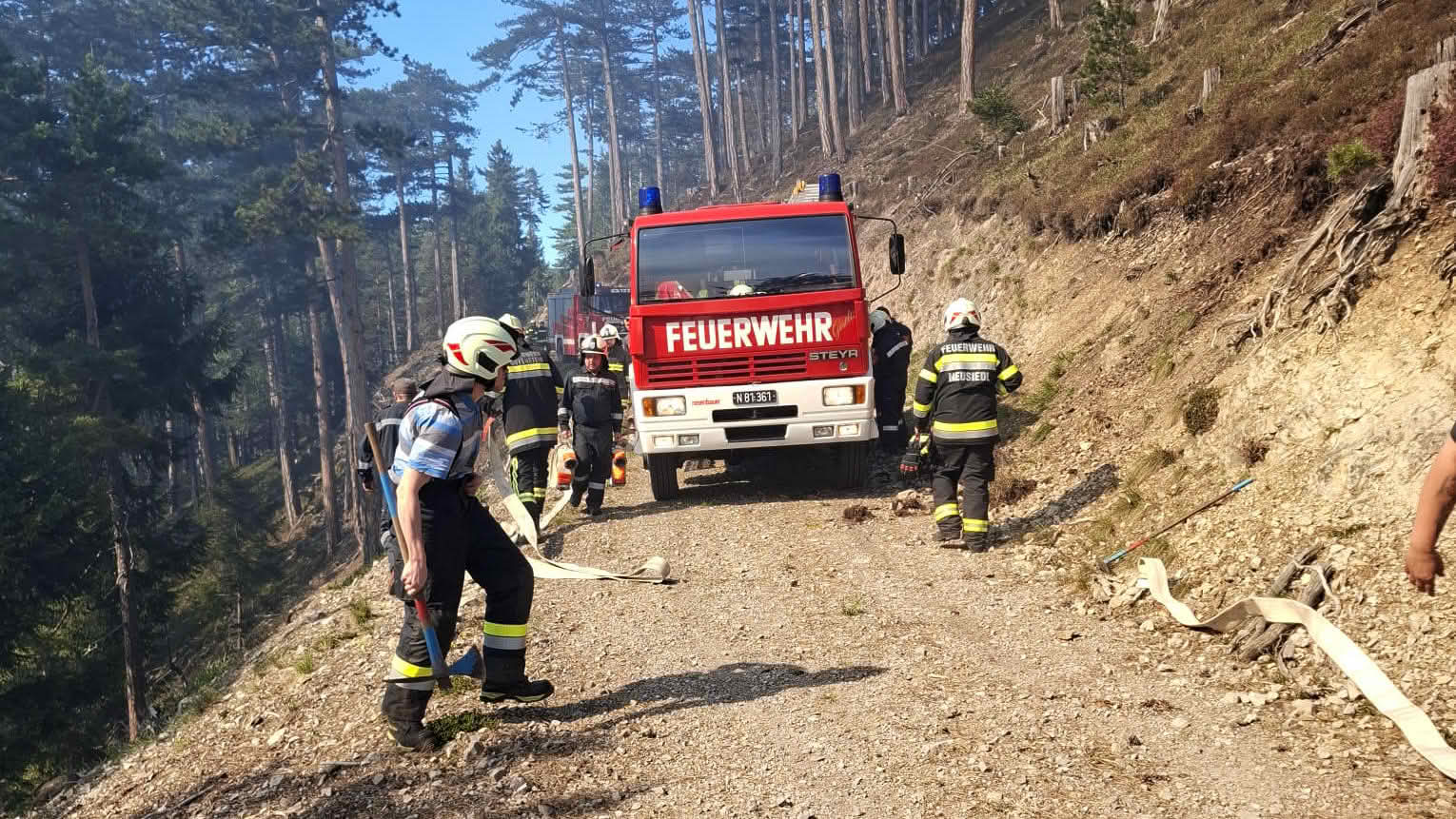 BFKDO Wiener Neustadt: Waldbrand in Gutenstein