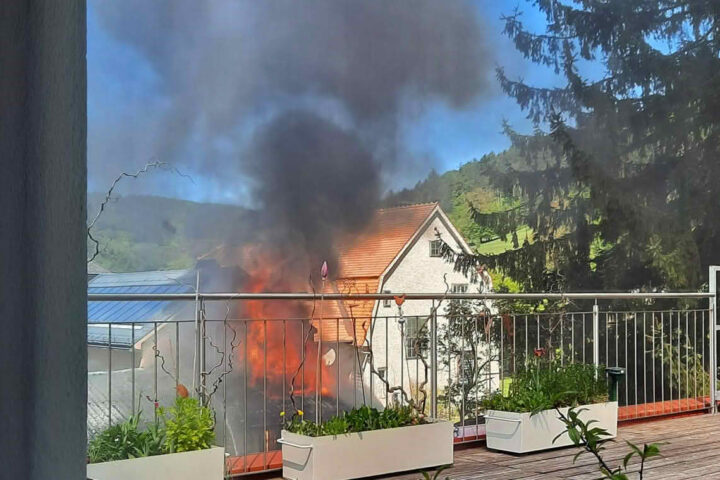 BFKDO Baden: Großalarm im Triestingtal