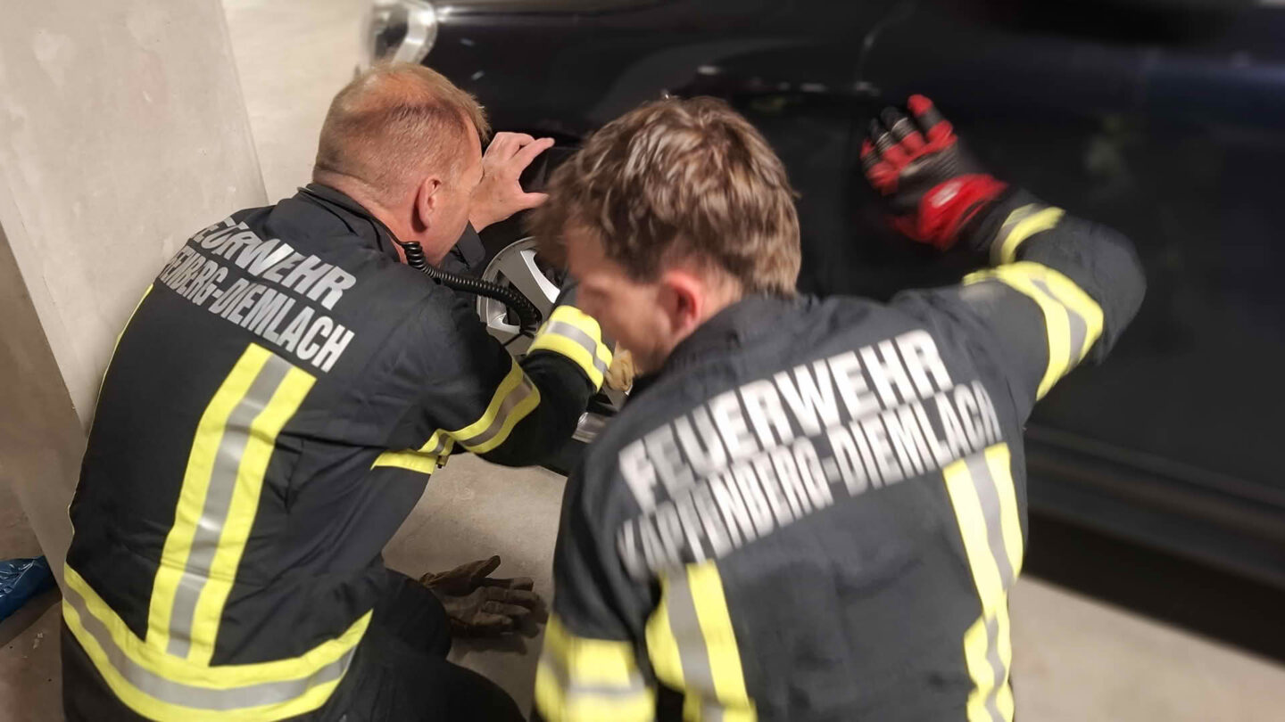 Schlange verirrte sich in ein Fahrzeug