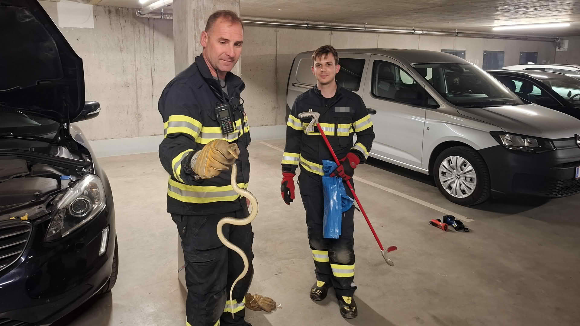 FF Kapfenberg-Diemlach: Schlange verirrte sich in ein Fahrzeug