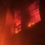 BF Wien: Frau und ein Hund bei Brand gerettet