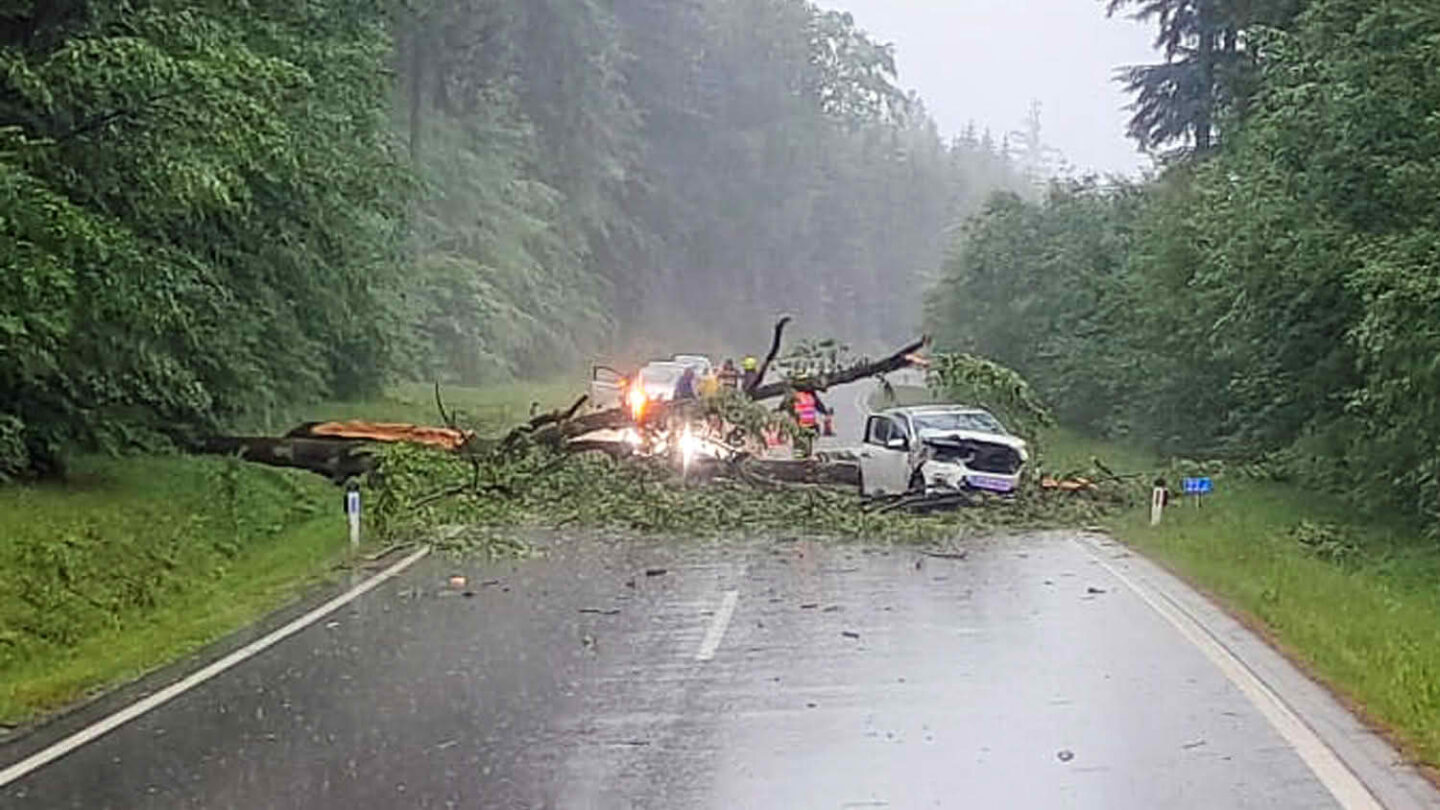 PKW kollidiert mit umgestürzten Baum