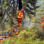 BFV Liezen: Waldbrand am Tausing in Wörschach