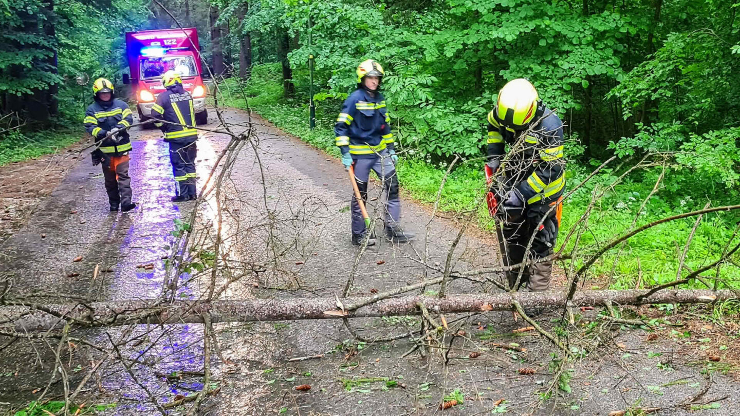 FF Bad Goisern im Unwettereinsatz