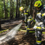 BFK Krems: Fünf Feuerwehren im Einsatz – Waldbrand in Nöhagen