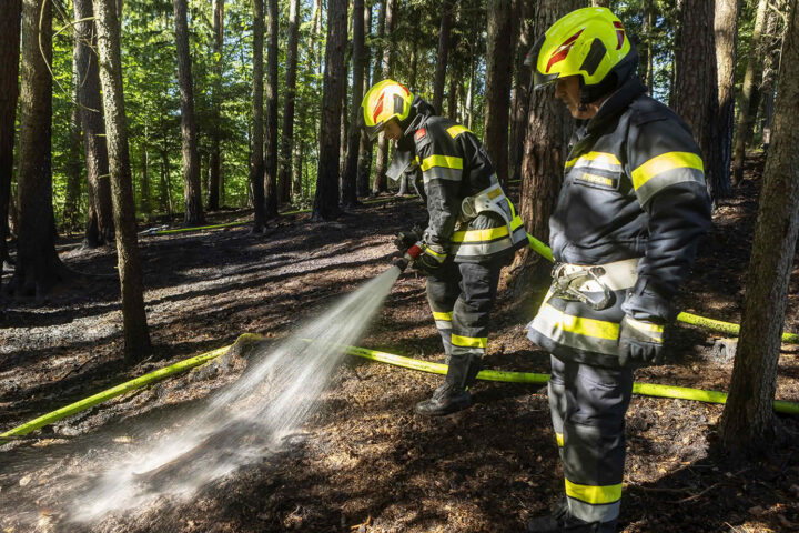 BFK Krems: Fünf Feuerwehren im Einsatz – Waldbrand in Nöhagen