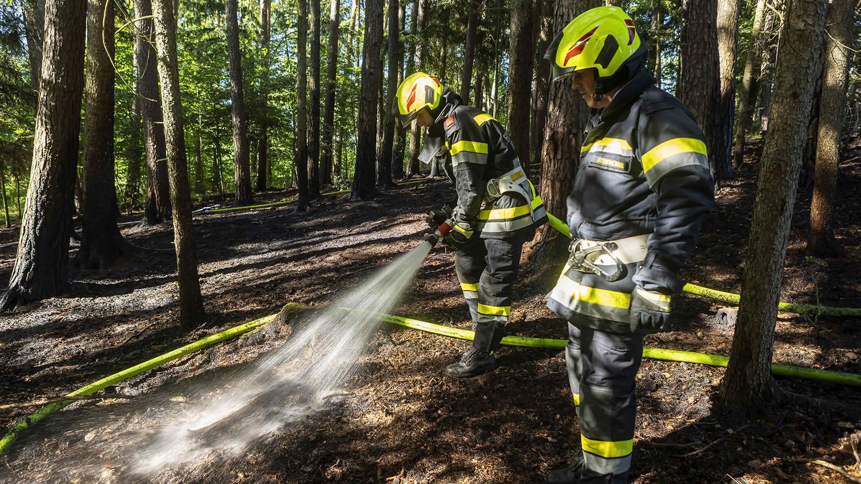BFK Krems: Fünf Feuerwehren im Einsatz – Waldbrand in Nöhagen