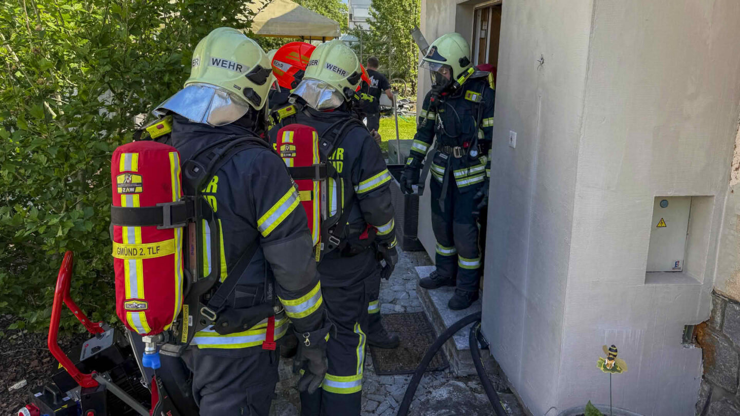 Feuerwehren retten zwei Pythons aus brennendem Wohnhaus