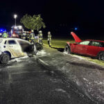 BFKDO Baden: Tragischer Verkehrsunfall – 7 Verletzte und 1 Toter!