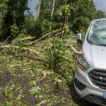 FF Krems: Unwetter entwurzelte Dutzende Bäume – Sperre der B37a