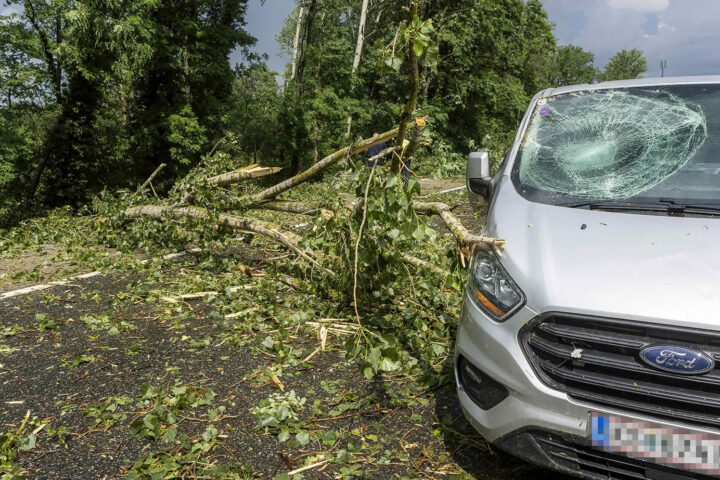 FF Krems: Unwetter entwurzelte Dutzende Bäume – Sperre der B37a