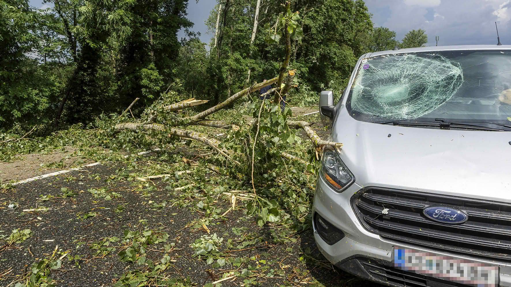FF Krems: Unwetter entwurzelte Dutzende BĂ€ume â Sperre der B37a