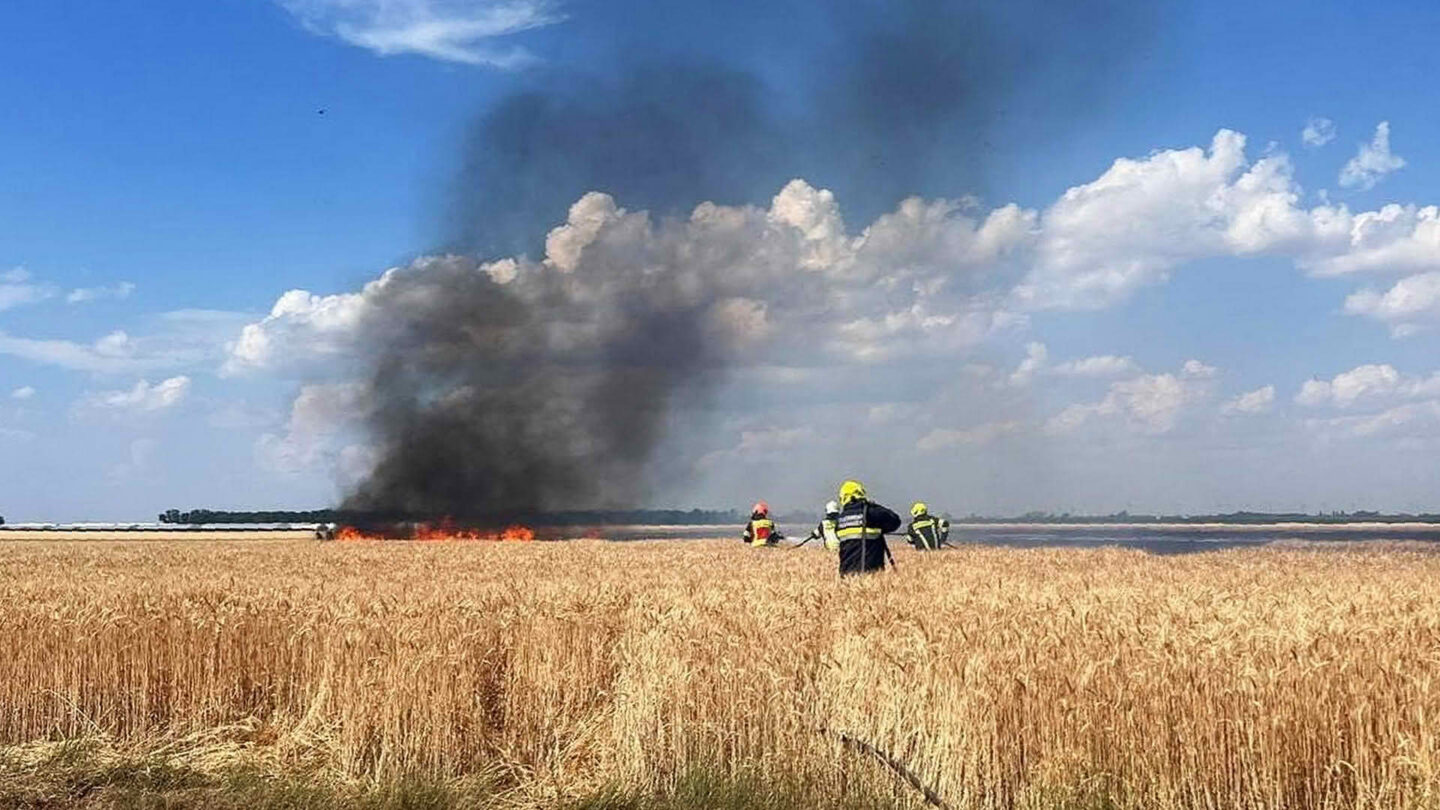 Vegetationsbrand greift auf Windschutzgürtel über