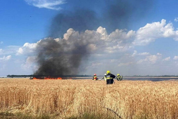 BFK Neusiedl am See: Vegetationsbrand in Wallern greift auf Windschutzgürtel über
