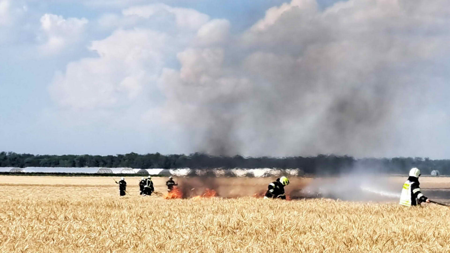 Vegetationsbrand greift auf Windschutzgürtel über