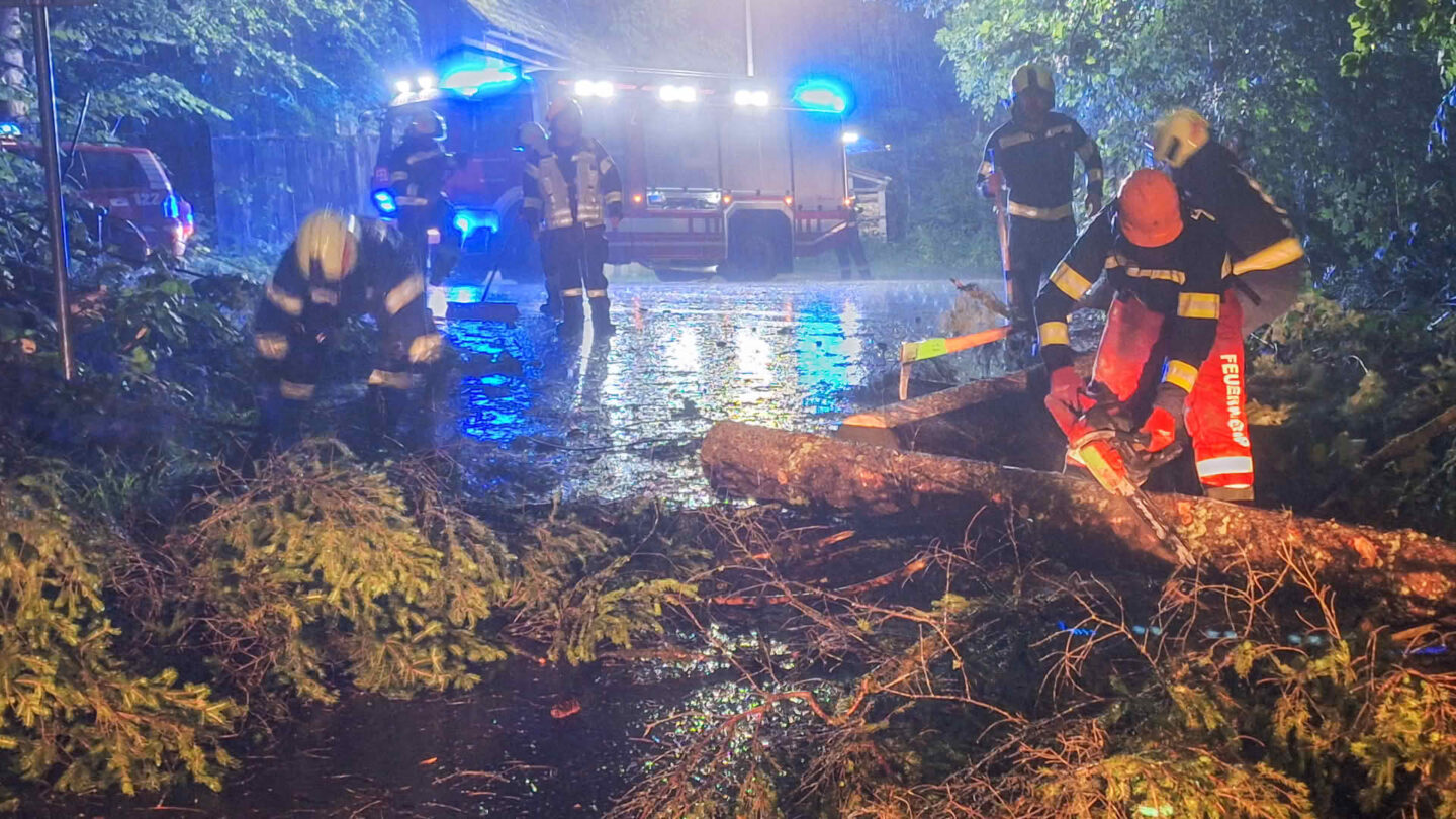 FF Bad Goisern mit Einsätzen gefordert