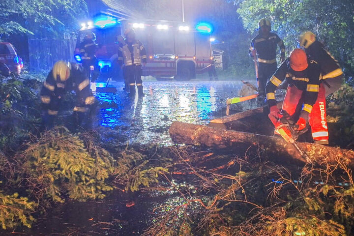 FF Bad Goisern: Mit Einsätzen gefordert