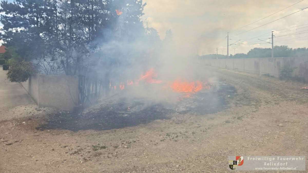 Vegetationsbrand in der Neugasse