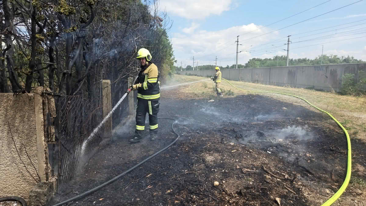 Vegetationsbrand in der Neugasse